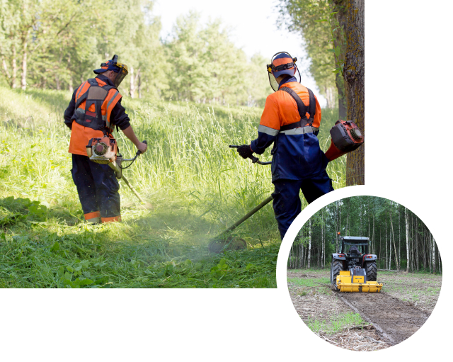 travaux de débroussaillage à Sémalens près de Castres dans le Tarn 81